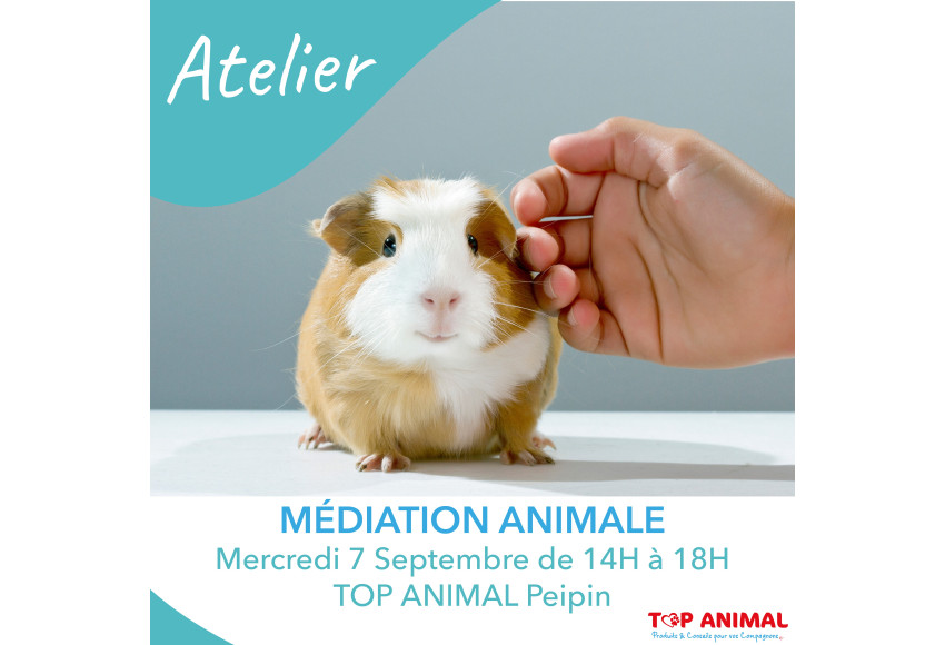 ATELIER MEDIATION ANIMALE DANS NOTRE MAGASIN DE PEIPIN